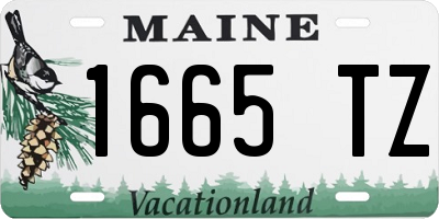 ME license plate 1665TZ