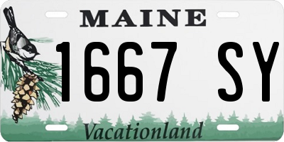 ME license plate 1667SY