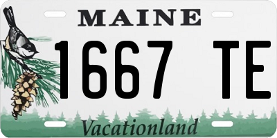 ME license plate 1667TE