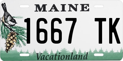 ME license plate 1667TK