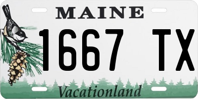 ME license plate 1667TX