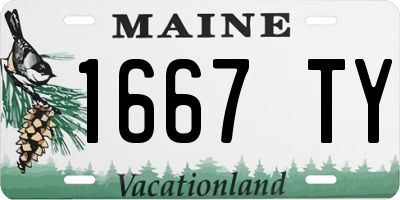 ME license plate 1667TY