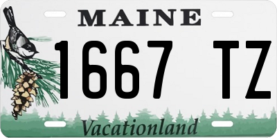 ME license plate 1667TZ
