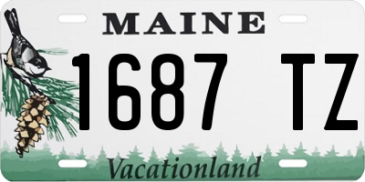 ME license plate 1687TZ