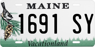 ME license plate 1691SY
