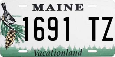 ME license plate 1691TZ
