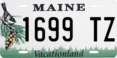 ME license plate 1699TZ