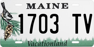 ME license plate 1703TV