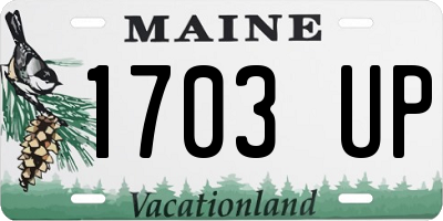ME license plate 1703UP