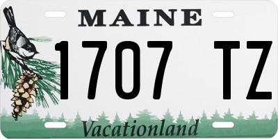 ME license plate 1707TZ