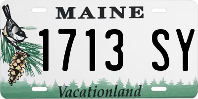 ME license plate 1713SY