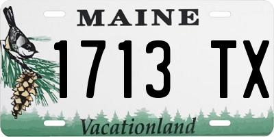 ME license plate 1713TX