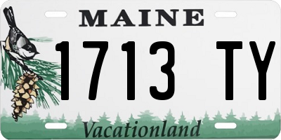 ME license plate 1713TY