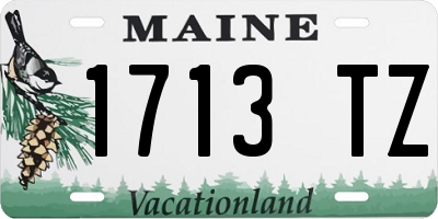 ME license plate 1713TZ