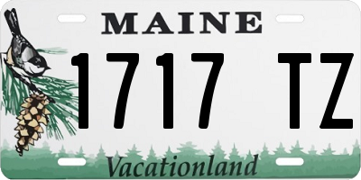 ME license plate 1717TZ