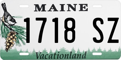 ME license plate 1718SZ