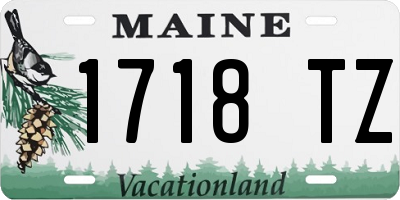 ME license plate 1718TZ