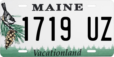 ME license plate 1719UZ