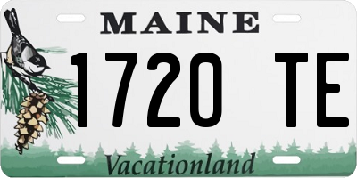 ME license plate 1720TE
