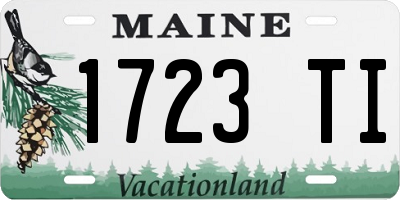 ME license plate 1723TI