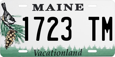 ME license plate 1723TM