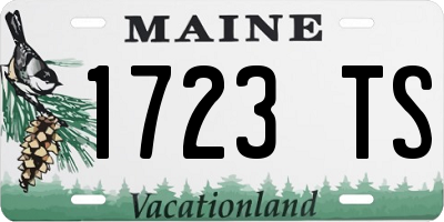 ME license plate 1723TS