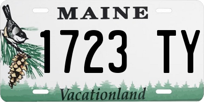 ME license plate 1723TY