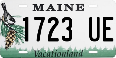 ME license plate 1723UE