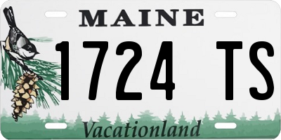 ME license plate 1724TS