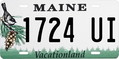 ME license plate 1724UI
