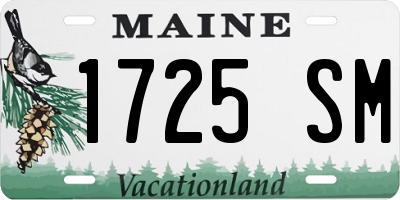 ME license plate 1725SM