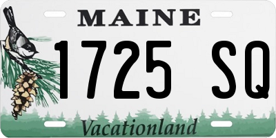 ME license plate 1725SQ