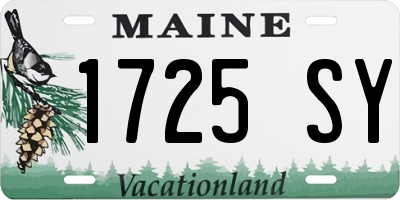 ME license plate 1725SY