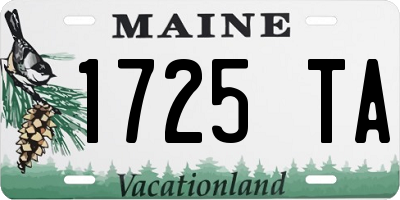 ME license plate 1725TA
