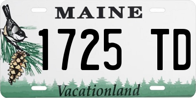 ME license plate 1725TD