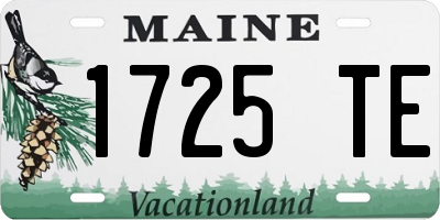 ME license plate 1725TE