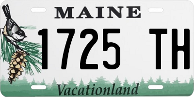 ME license plate 1725TH
