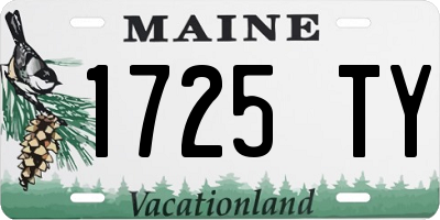 ME license plate 1725TY