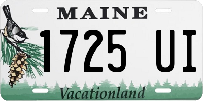 ME license plate 1725UI