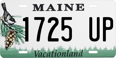 ME license plate 1725UP