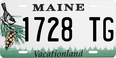 ME license plate 1728TG
