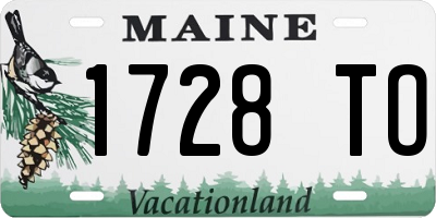 ME license plate 1728TO