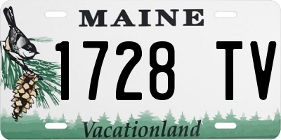 ME license plate 1728TV