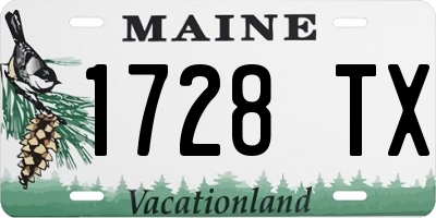 ME license plate 1728TX