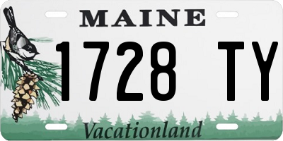 ME license plate 1728TY