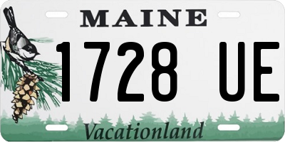 ME license plate 1728UE