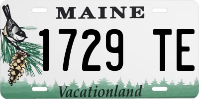 ME license plate 1729TE
