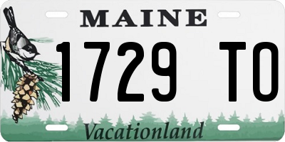 ME license plate 1729TO