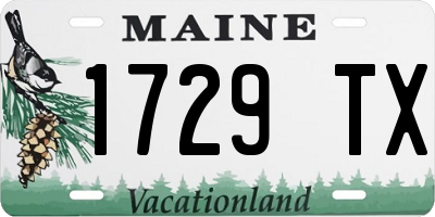 ME license plate 1729TX