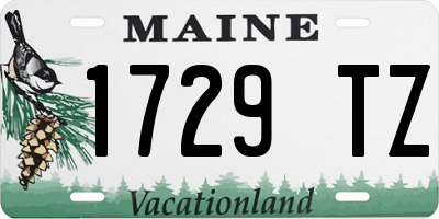 ME license plate 1729TZ